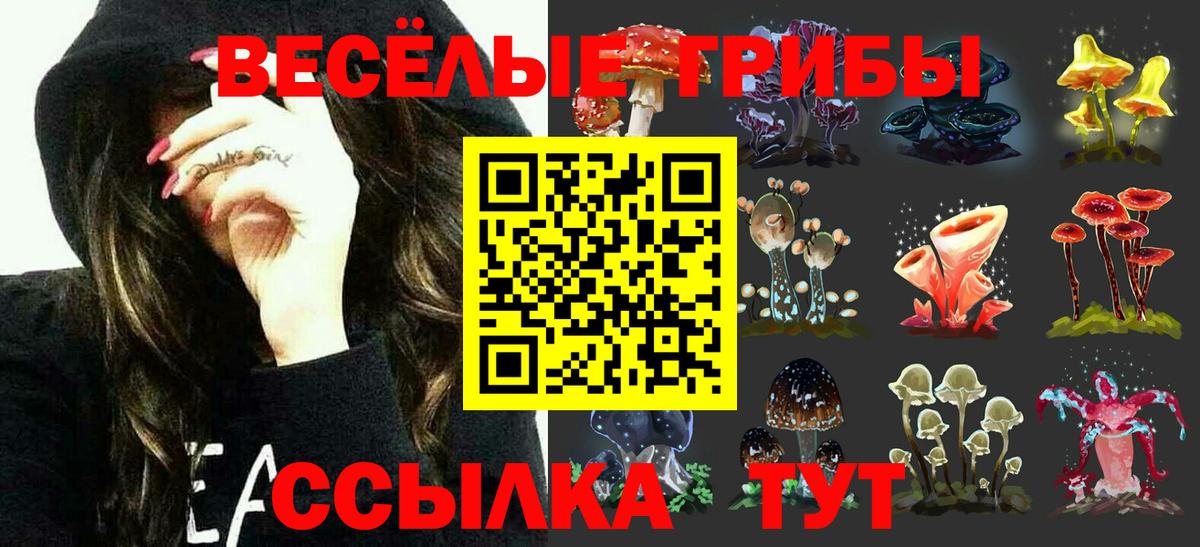 Галлюциногенные грибы прущие грибы Ртищево