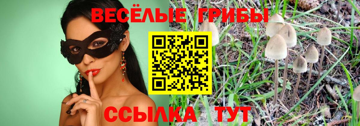 Галлюциногенные грибы Psilocybine cubensis  Псилоцибиновые грибы MAGIC MUSHROOMS  Ртищево  Вход с VPN 